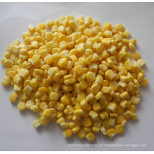 Niblet chinês de milho congelado / milho bebê amarelo